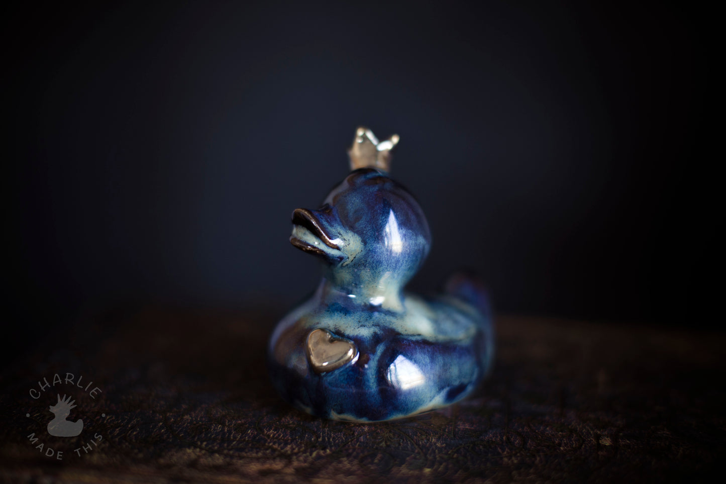 Rex III 💛